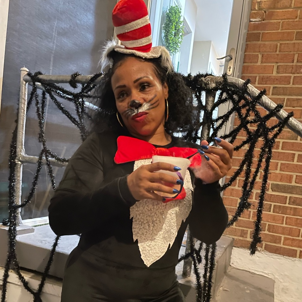 Cat In the Hat Adult Halloween Costume
